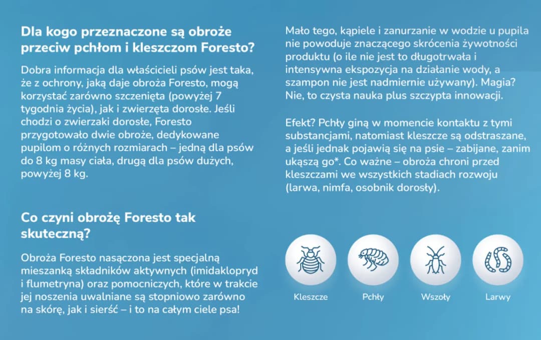 Obroża Foresto czy można kąpać psa bez obaw o skuteczność?