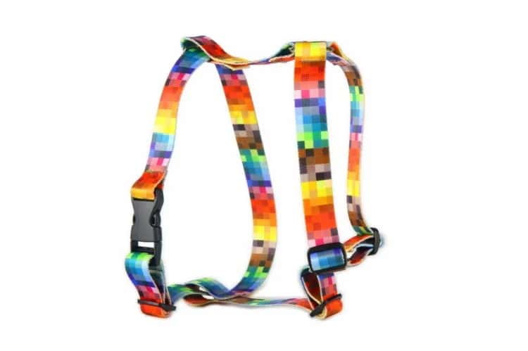 Szelki czy obroża – która opcja zapewni psu większe bezpieczeństwo?