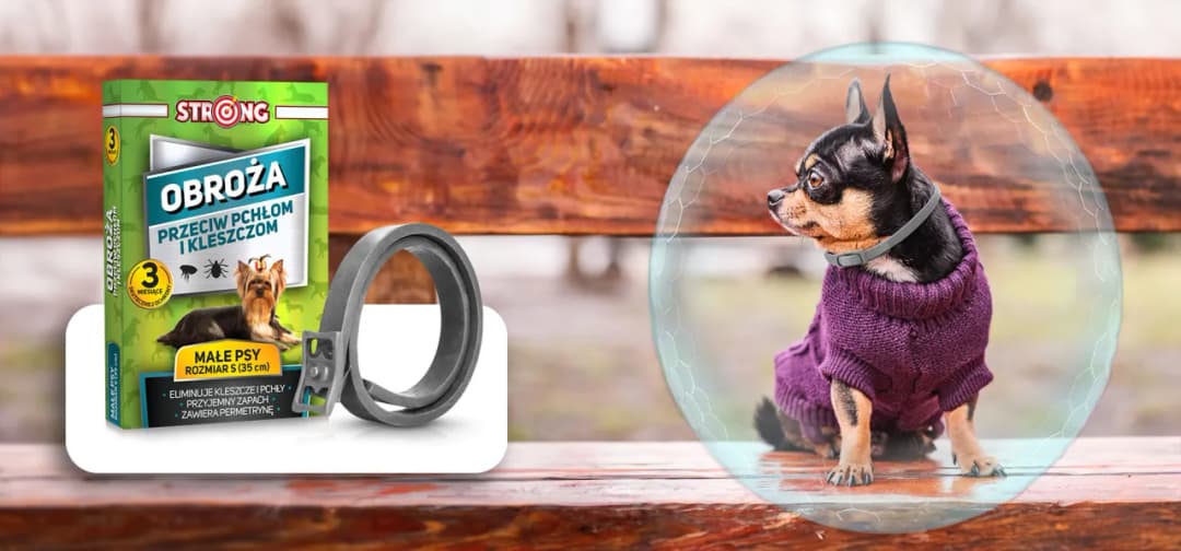 Obroża czy krople na pchły – co wybrać, aby skutecznie chronić pupila?