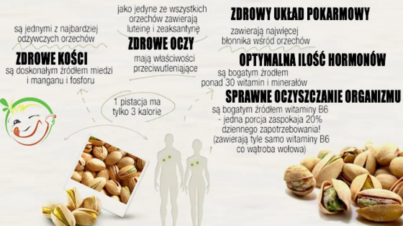 Czy pies może jeść pistacje? Poznaj ryzyko i bezpieczne alternatywy