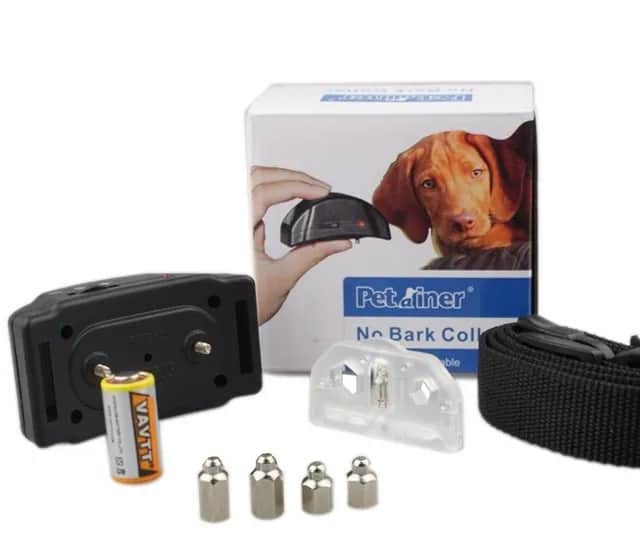 Jak obroża elektryczna dla psa może poprawić jego trening i bezpieczeństwo