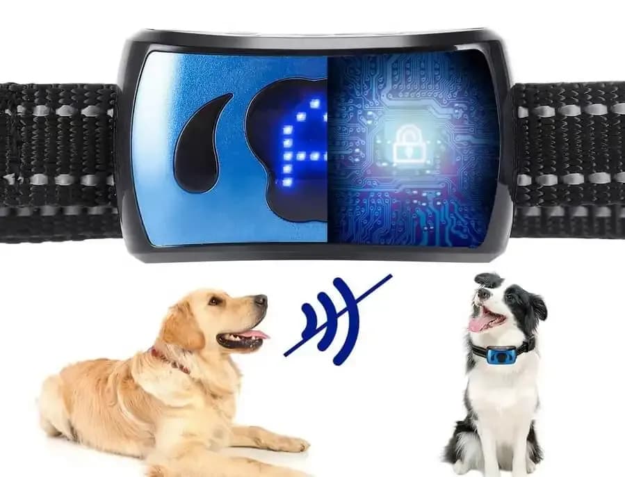 Obroża antyszczekowa jak działa - skuteczność i bezpieczeństwo dla psa