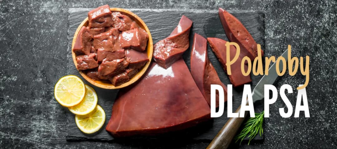 Czy pies może jeść podroby? Odkryj korzyści i zagrożenia dla zdrowia