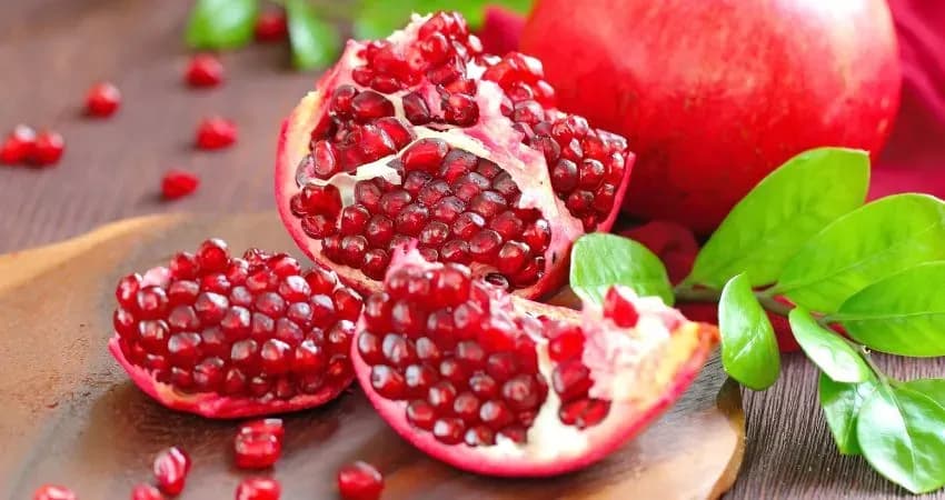 Czy pies może jeść granata? Sprawdź, jakie są zagrożenia i zasady podawania