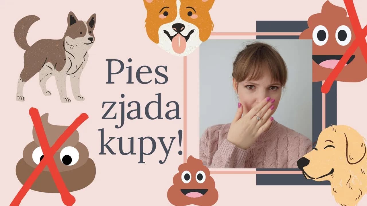 Jak oduczyć szczeniaka jedzenia kupy i uniknąć nieprzyjemności