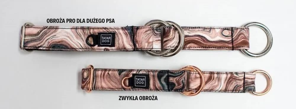 Jaką obrożę wybrać dla psa, aby zapewnić mu komfort i bezpieczeństwo?