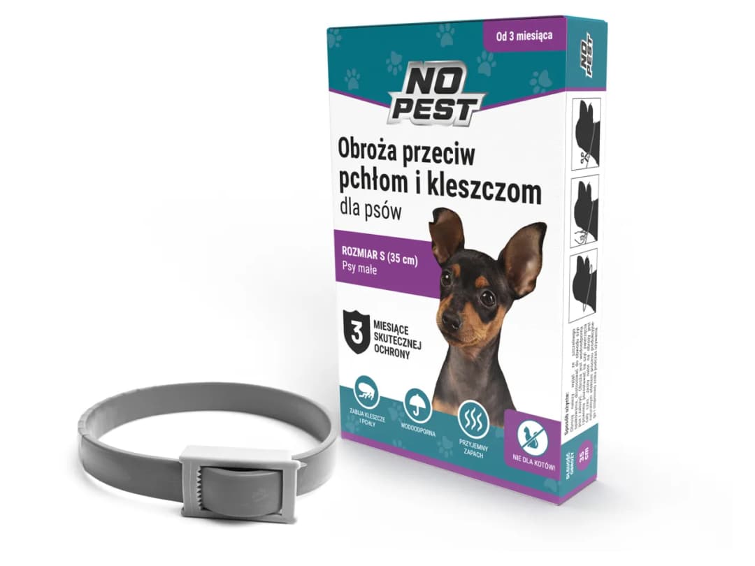 Czy obroża przeciw kleszczom jest szkodliwa dla psa? Oto prawda