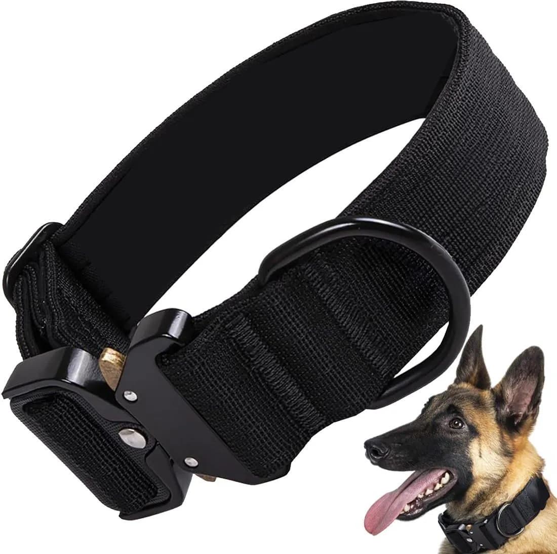 Ile kosztuje obroża dla psa? Sprawdź ceny i porównaj oferty!