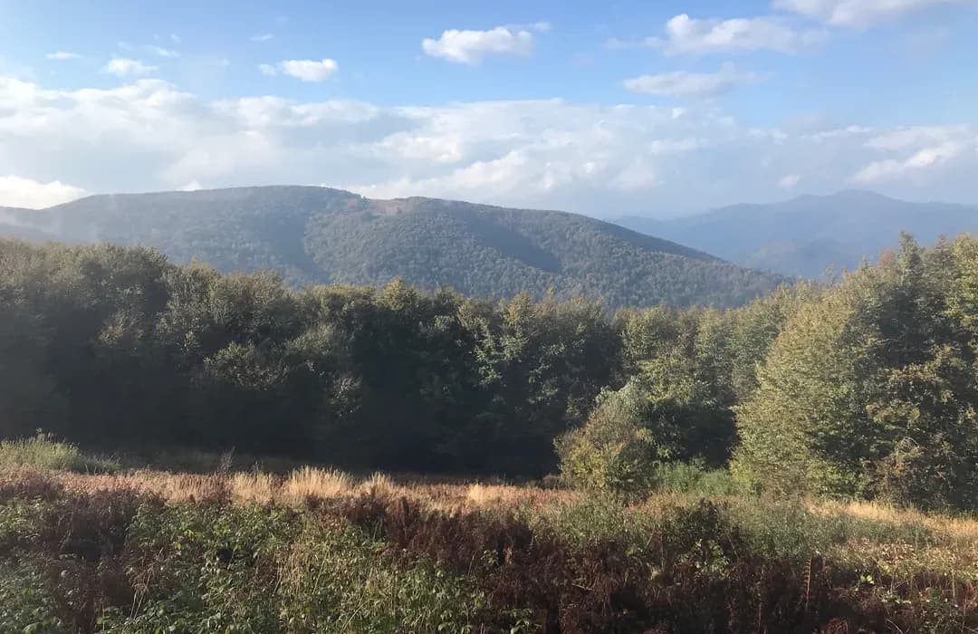 Gdzie na spacer z psem w Podkarpackiem? Odkryj najlepsze miejsca